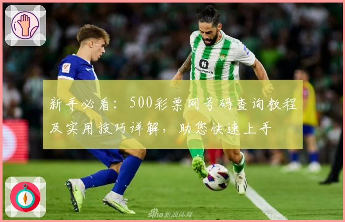 新手必看：500彩票网号码查询教程及实用技巧详解，助您快速上手