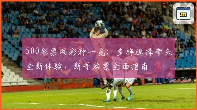 500彩票网彩种一览:多样选择带来全新体验,新手购票全面指南